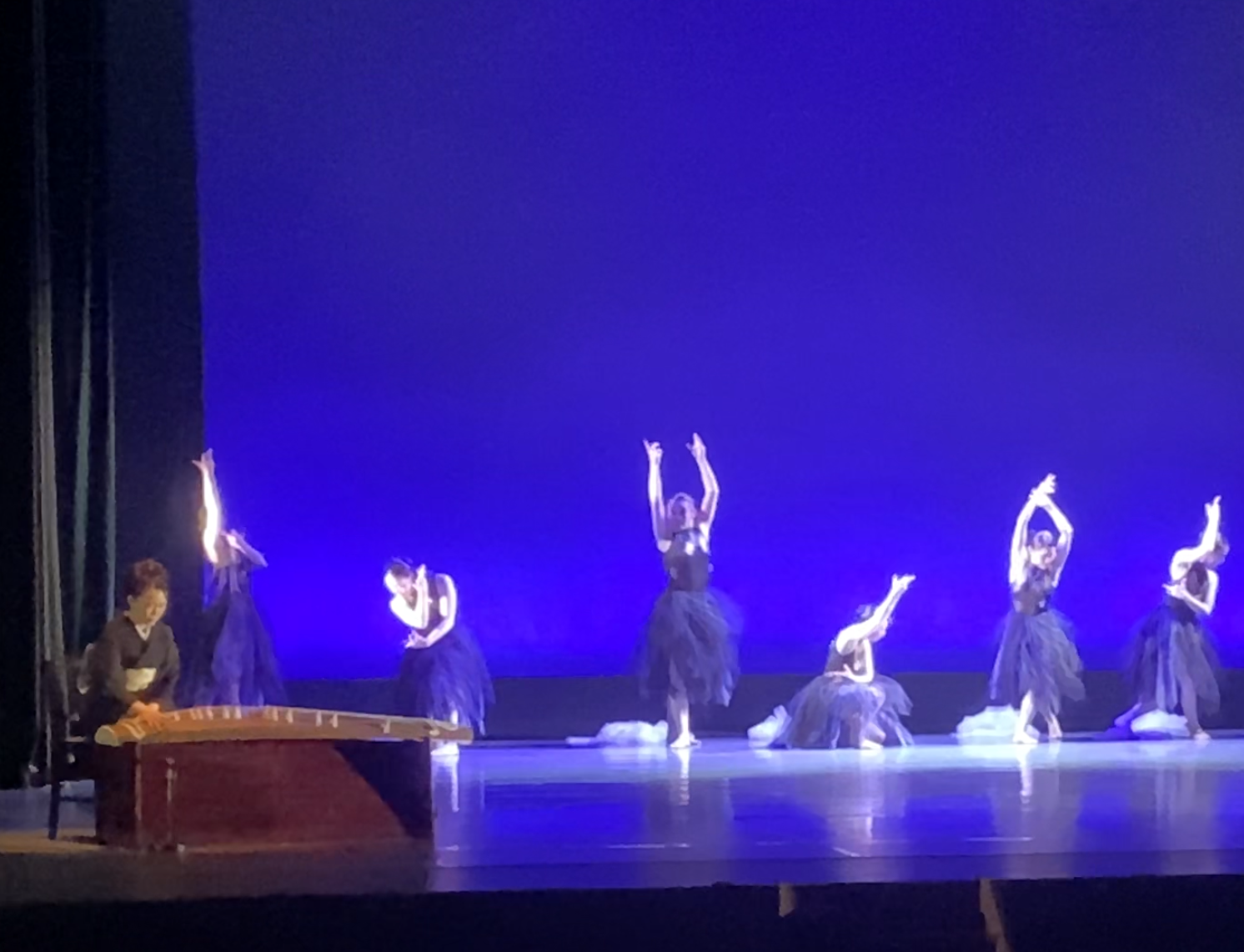 とやま舞台芸術祭2025 越中万葉創作舞踊「万葉高志の国」